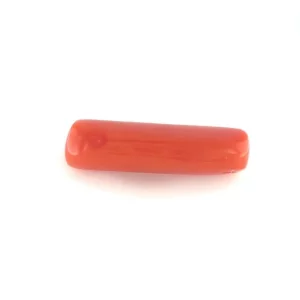 Image depict natural red coral on white background